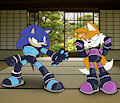 Sonic & Tails