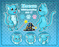 [Commission] Hocus Reference Sheet
