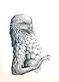 Hawk by AbsintheKitsune