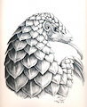 Pangolin by AbsintheKitsune