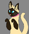 Siamese Commission1
