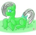  Study in Minty