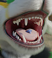 Tongue rig test by Ponlets