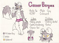 Connor Burgess Ref
