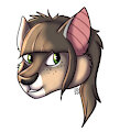 Gomi’s headshot