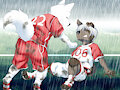 Rainy match