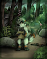 Adventuring in the Woods