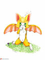 Fidget linda / Fidget cute