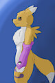 Renamon