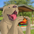 BORGER