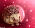 Toshi