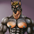 Doberman