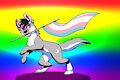 Trans Pride!