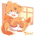 Toruu back
