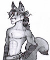 Teen Pirate Fox