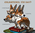 Cerberus Corgi