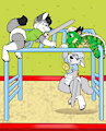 Pawpers Play soft commercial
