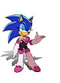 Team Sonic Racing Sonic to Rouge by ClassicSatAmSonic