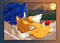 Patreon 044 - Time to rest by StarAmpharos