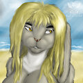 Savsav on a beach