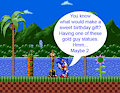 Sonic's 29th Birthday Pic by AngelCam7
