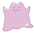 ditto