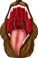 Draco's vore head by AngyNoodle