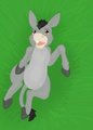 Cute donkey