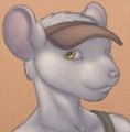 Stripes commission