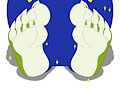 Noah's Feet (Clean)