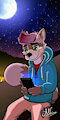 A commission to Mapocho