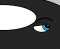 The Perks of Being an Orca Fan