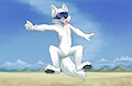 Ima dog