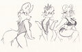Swimsuit Sketches