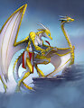 Dragon Scholar
