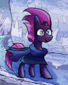 Tempest Snowy Adventure