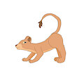 Crouching Nala (7-1-2020)