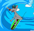 Surfer Rat