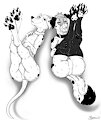 Lineart Commission: Paws on Display