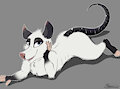 One Sexy Vermin by Marcushunterwolf