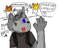 externowolf pic 03: feather weight by externowolf