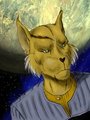 Caitian Ensign, aka What You Missed In The Stream Tonight