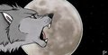 Wolf moon