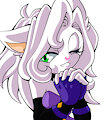 Angie The Angora-Cat