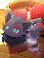 zorua