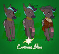 Cardinal Star by IntoxEtiquette