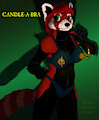 Candle-a-Bra