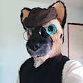 A new look for a old dog by ProfessorShepherd