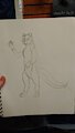 Fur pattern for Pepper Otter