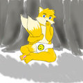 Vicwuff 02